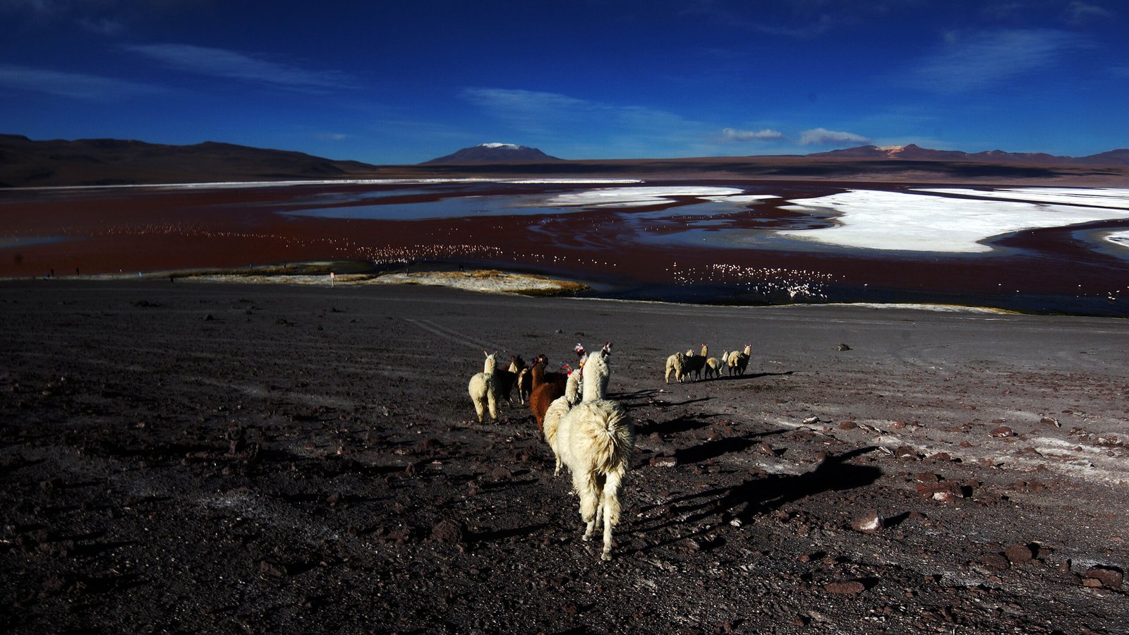 South of America © Marion Grassart Photographe Bruxelles